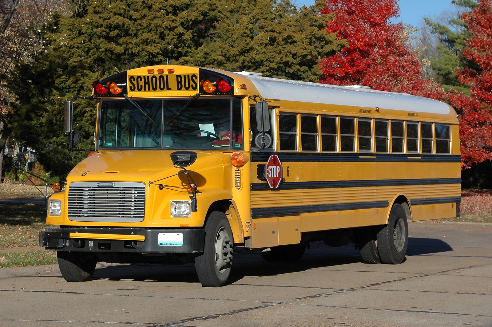 School Bus