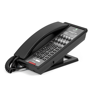 NEO-DECT-C2